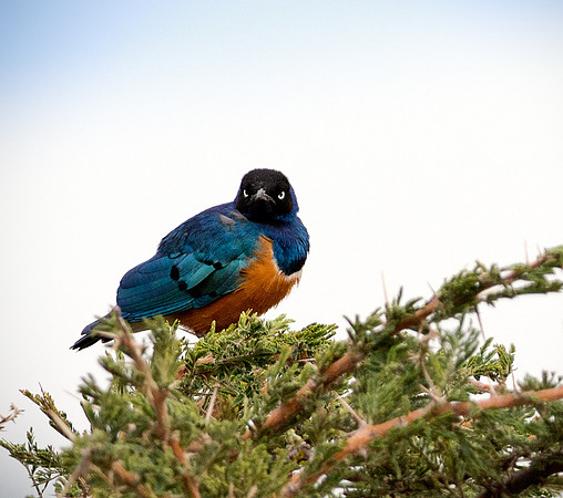 20130916_Kenya_0046
