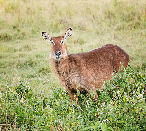 20130911_Portfolio Photos_0017