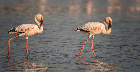 20130911_Kenya_0026