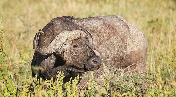 20130911_Kenya_0013