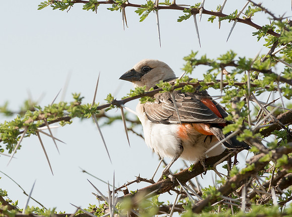 20130908_Kenya_0008