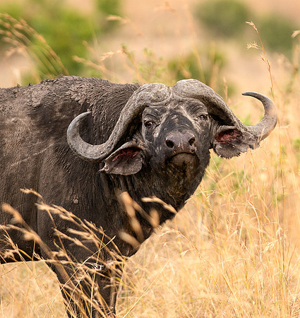 20130916_Kenya_0041