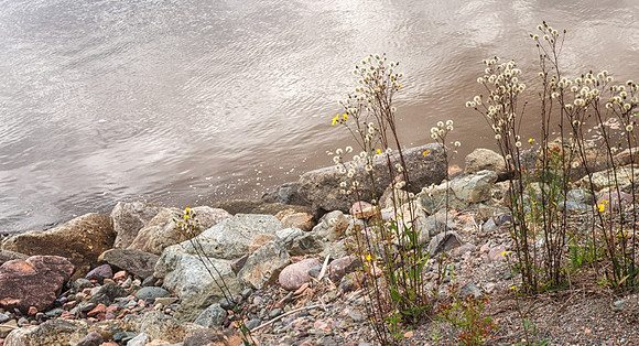 20140817_France_0013