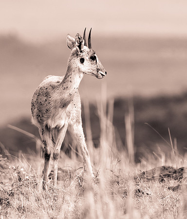 20130919_Kenya_0009