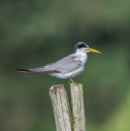 20150115_Ecuador_0001