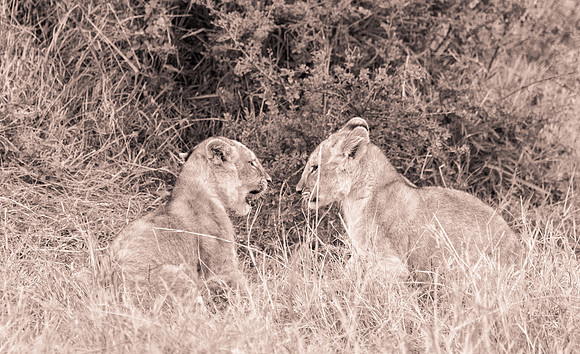 20130919_Kenya_0071