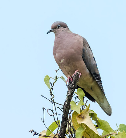 20150108_Ecuador_0001