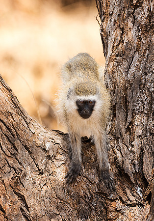 20130909_Kenya_0035